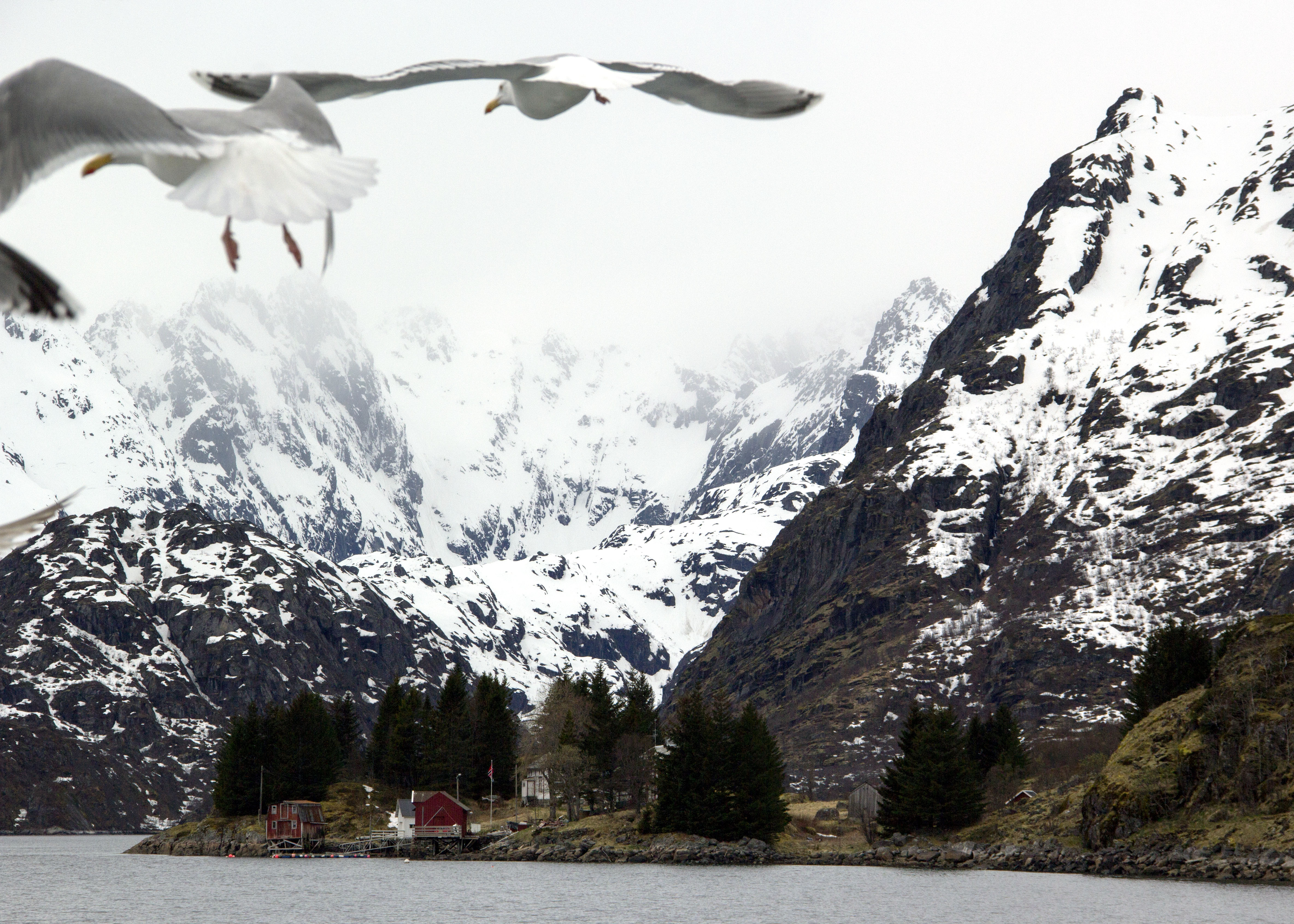 View from area close to Trollfjorden