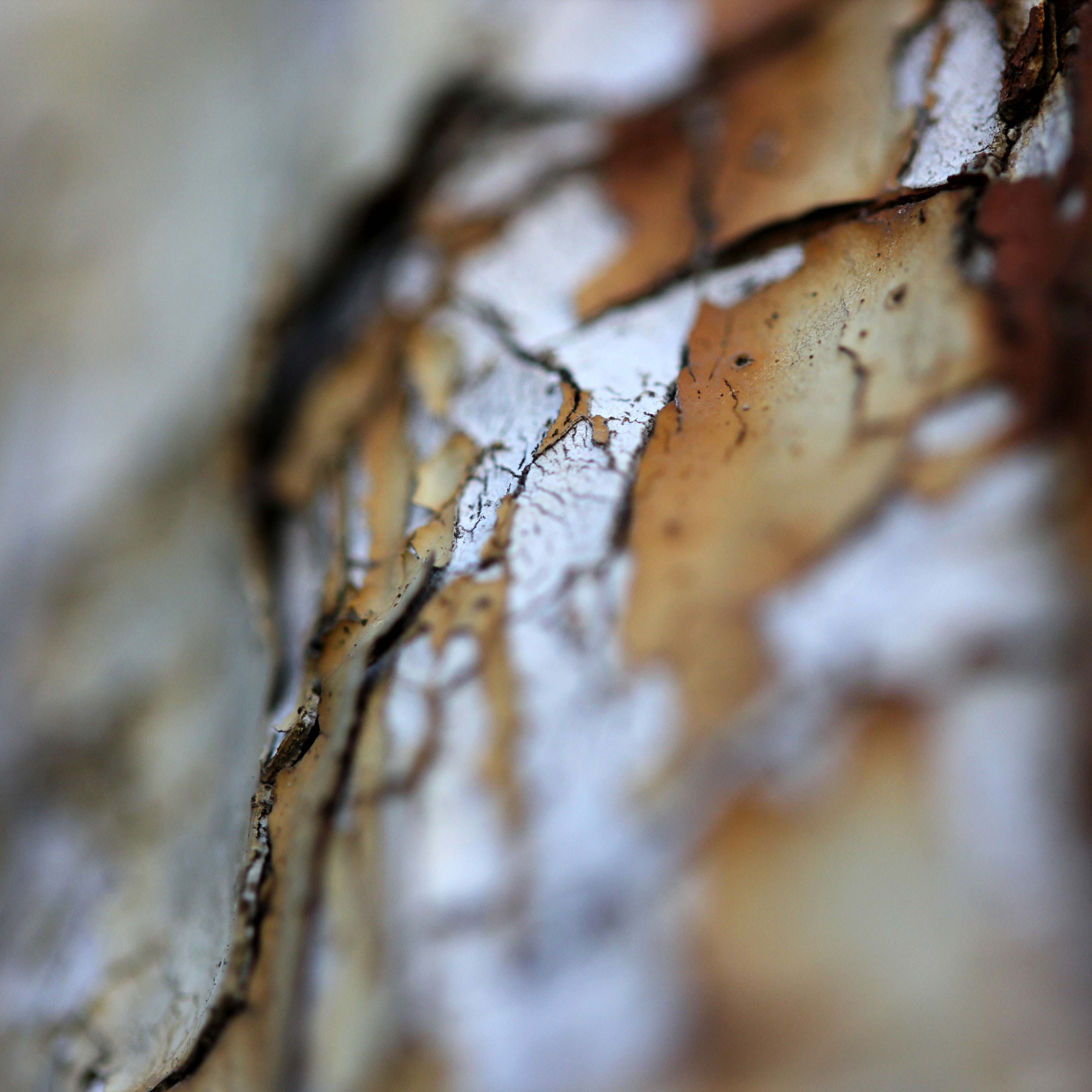 Aging metal II
