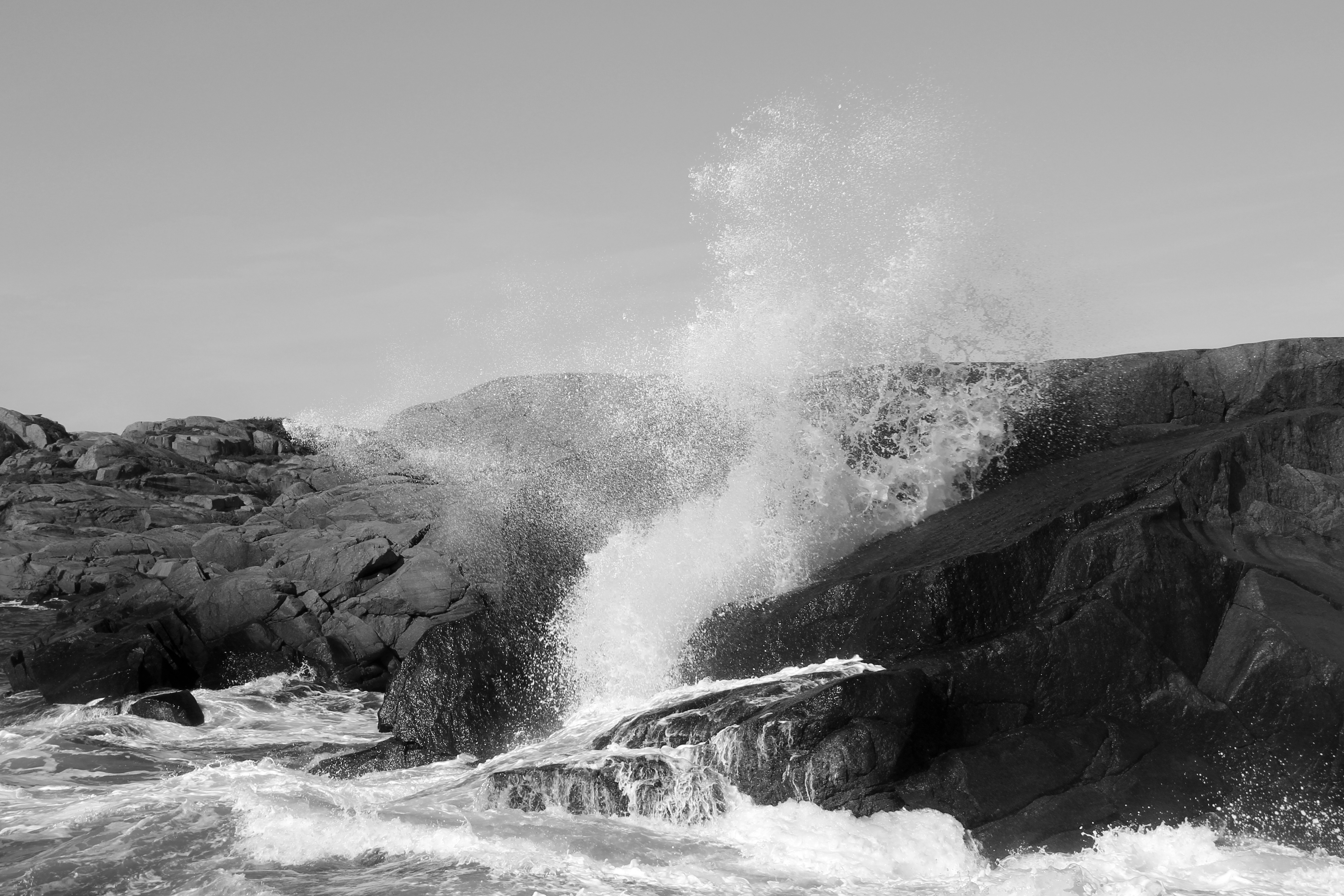 Waves