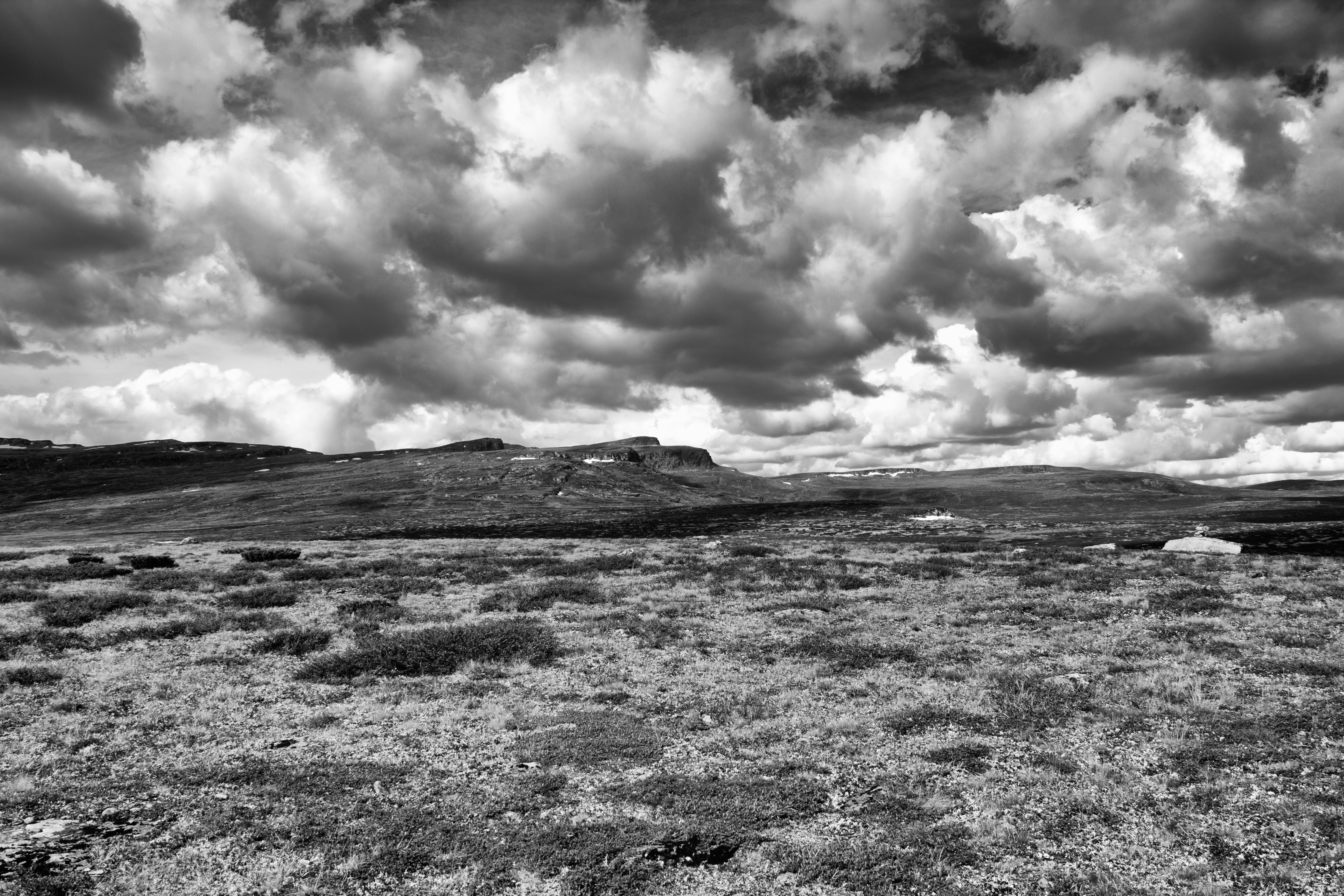 May photo challenge – Day #31