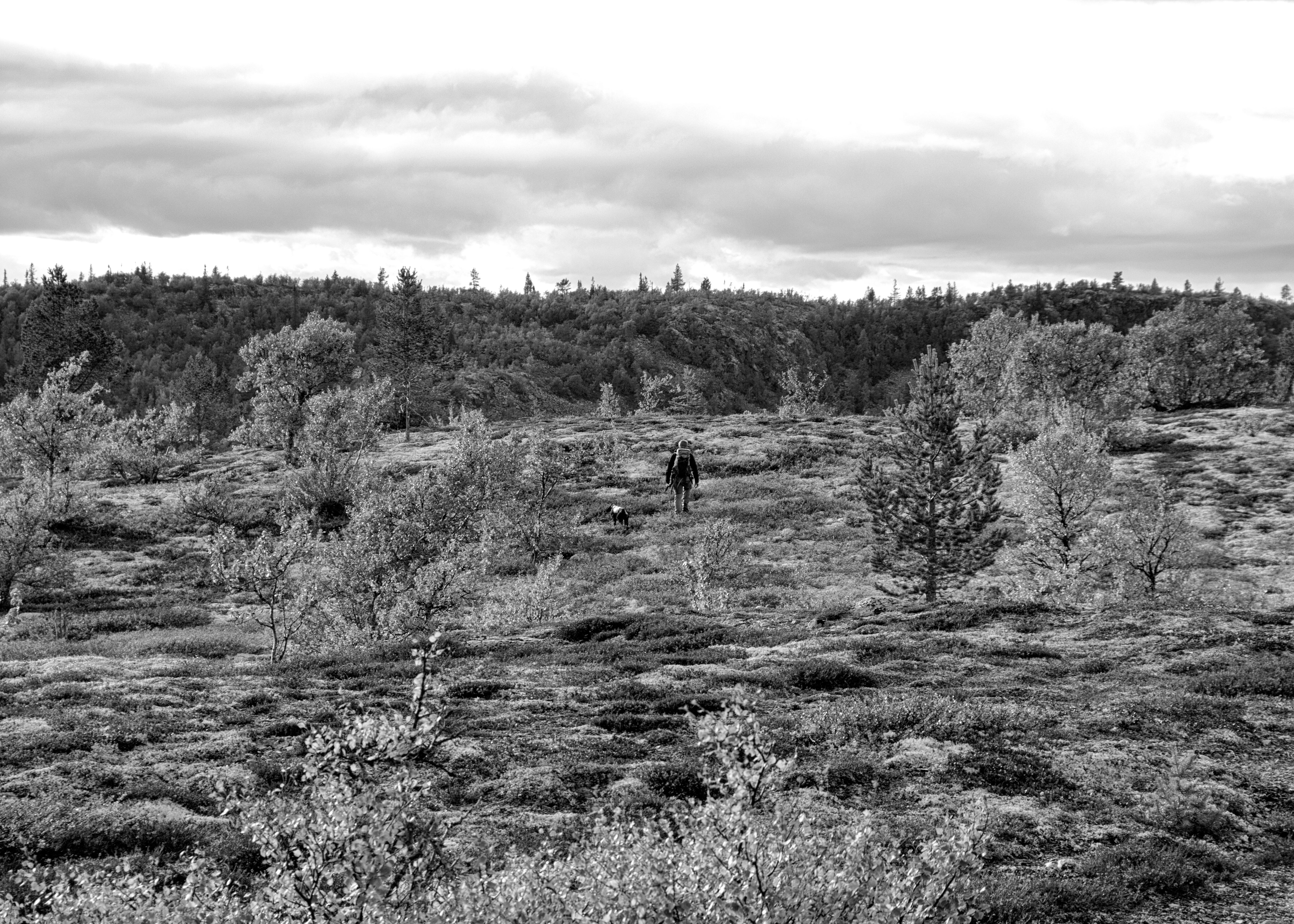 May photo challenge – Day #20