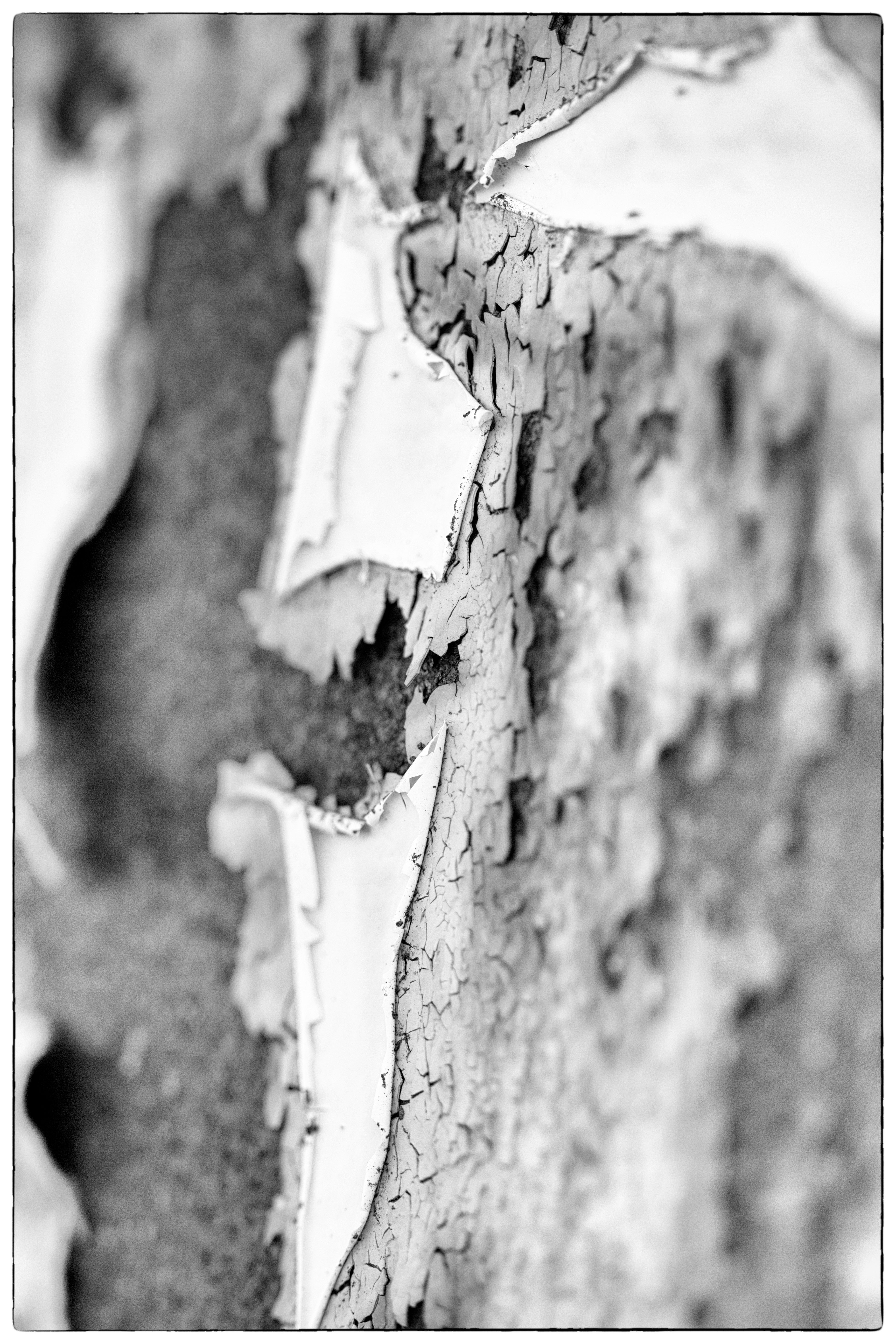 May photo challenge – Day #27