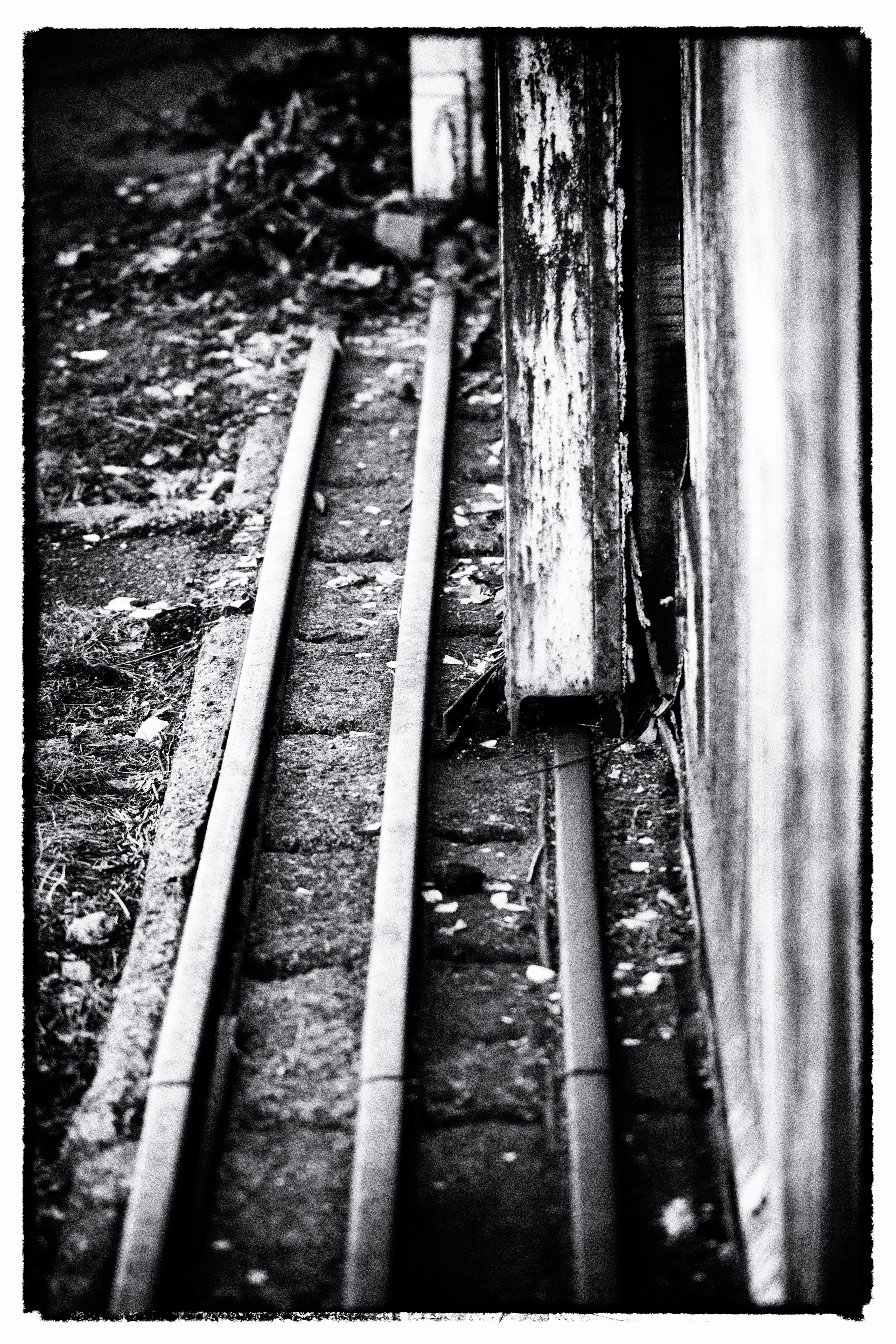 May photo challenge – Day #28