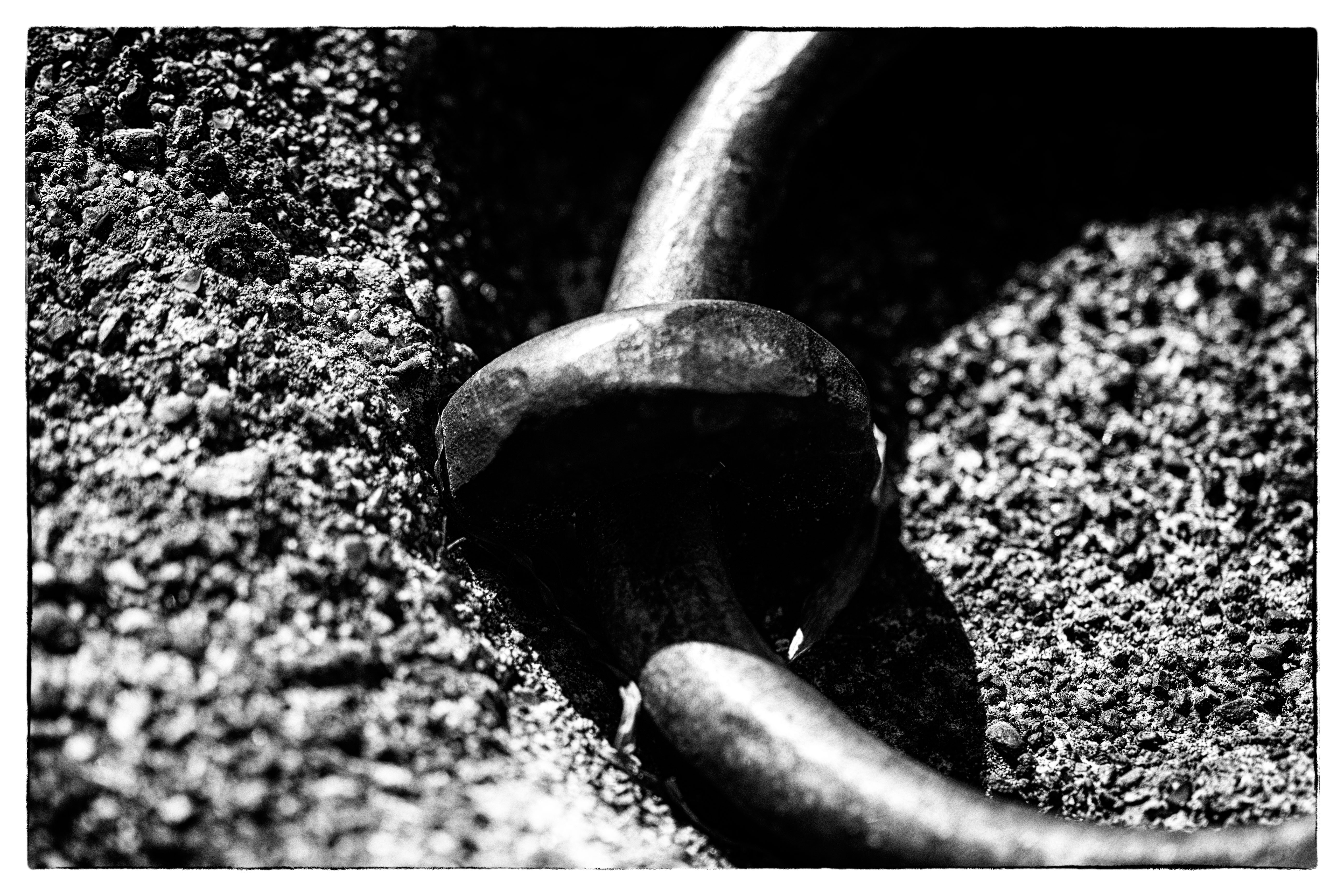 May photo challenge – Day #24