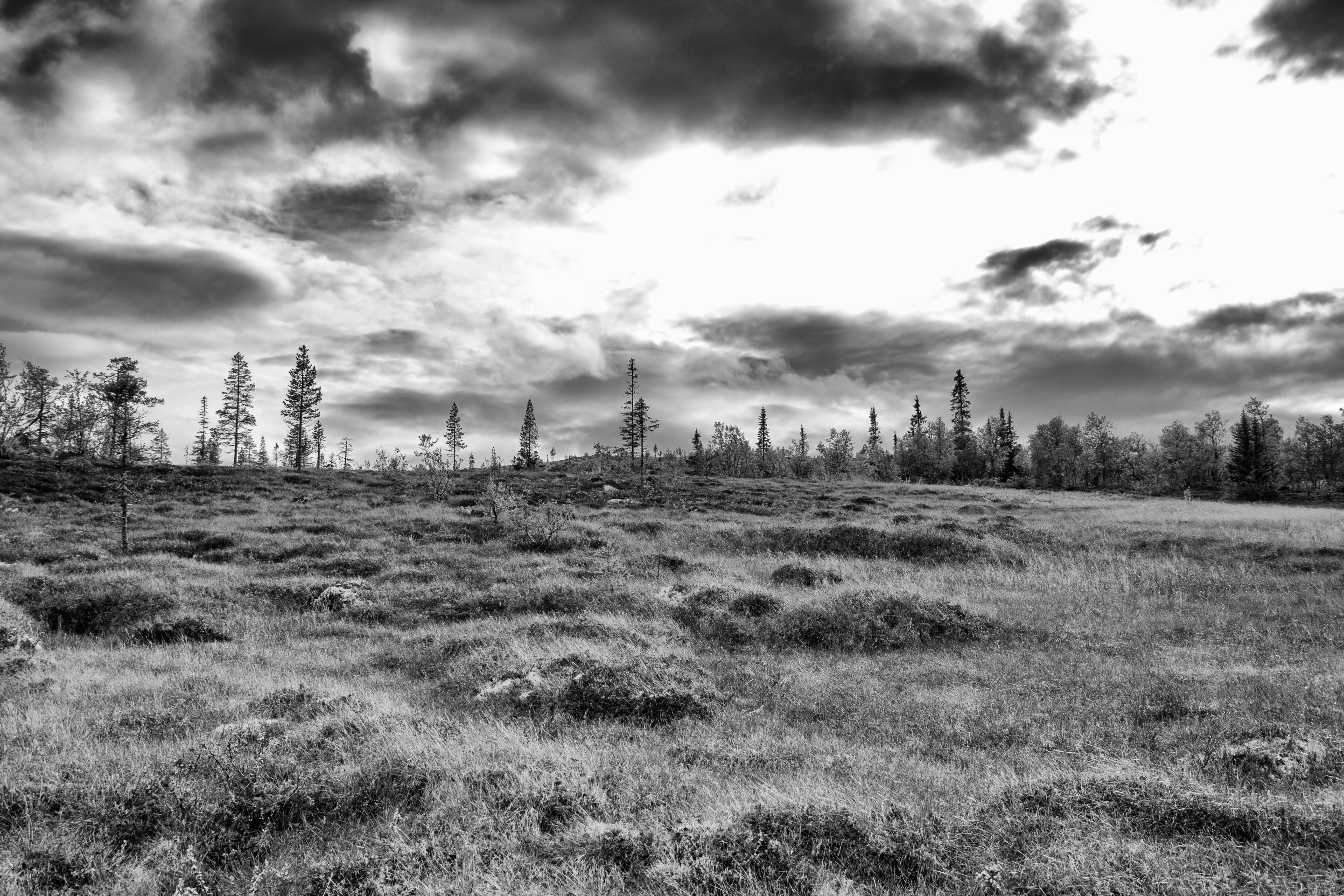 May photo challenge – Day #21