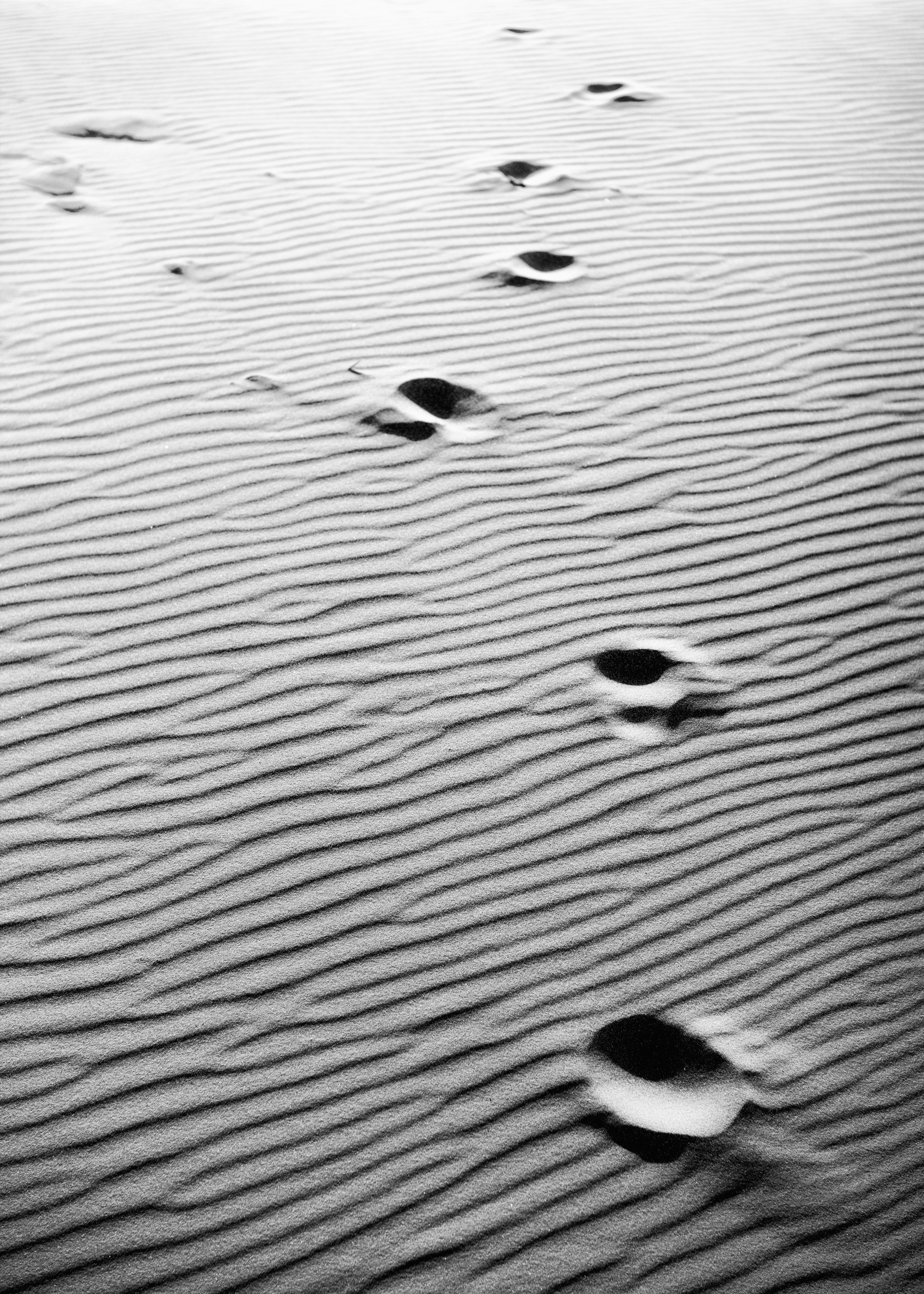 May photo challenge – Day #14