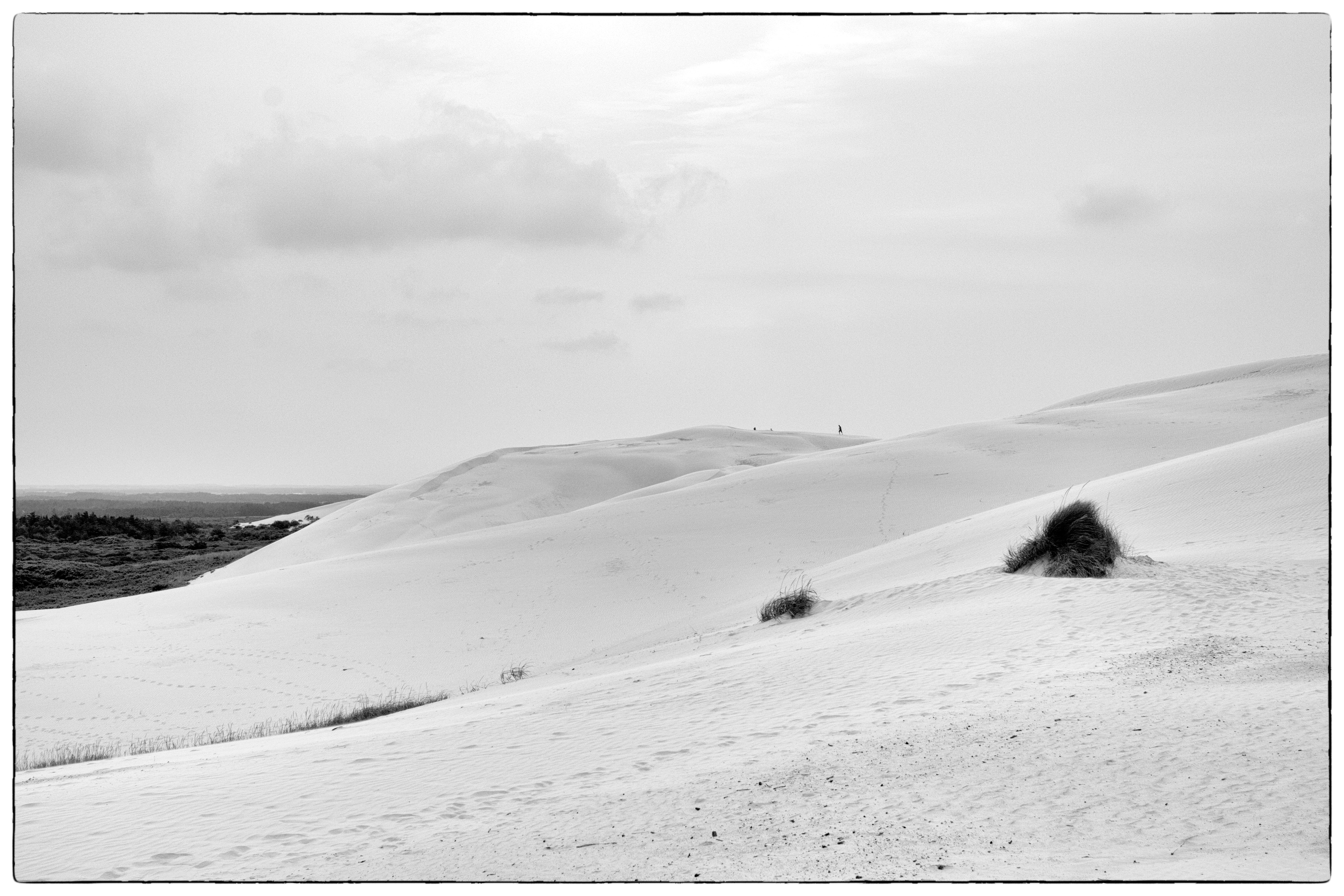 May photo challenge – Day #18