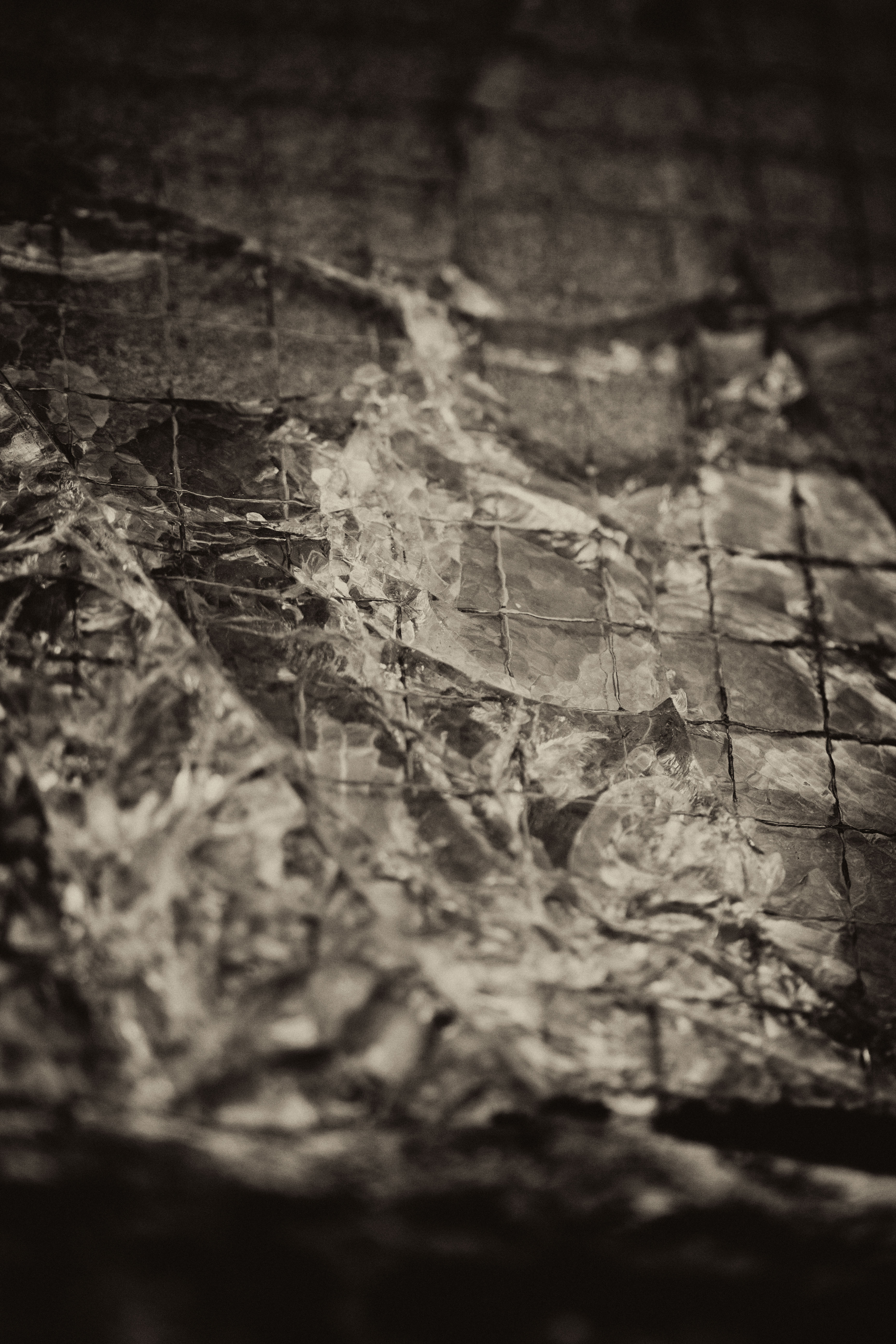 May photo challenge – Day #23