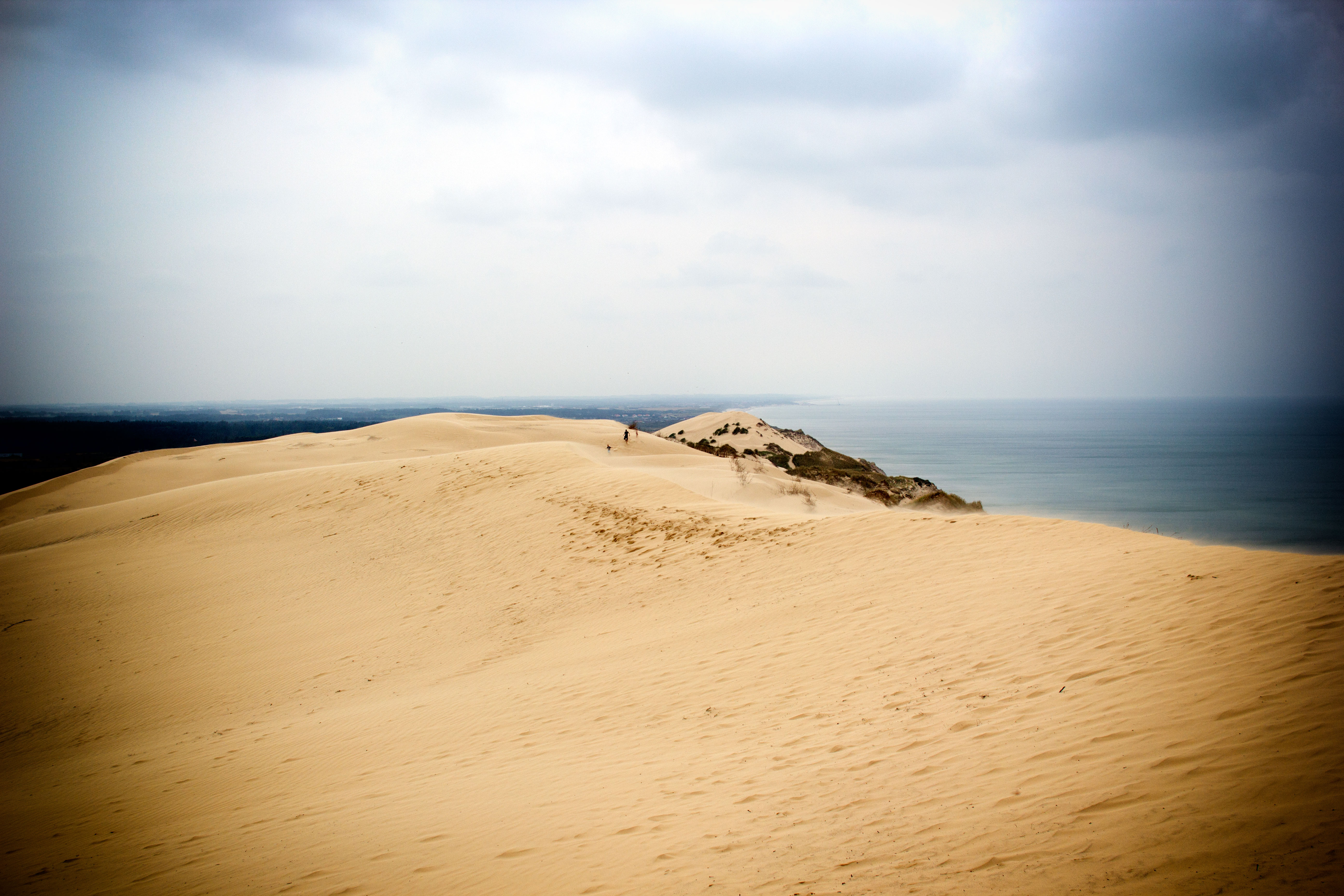 Sands of Denmark