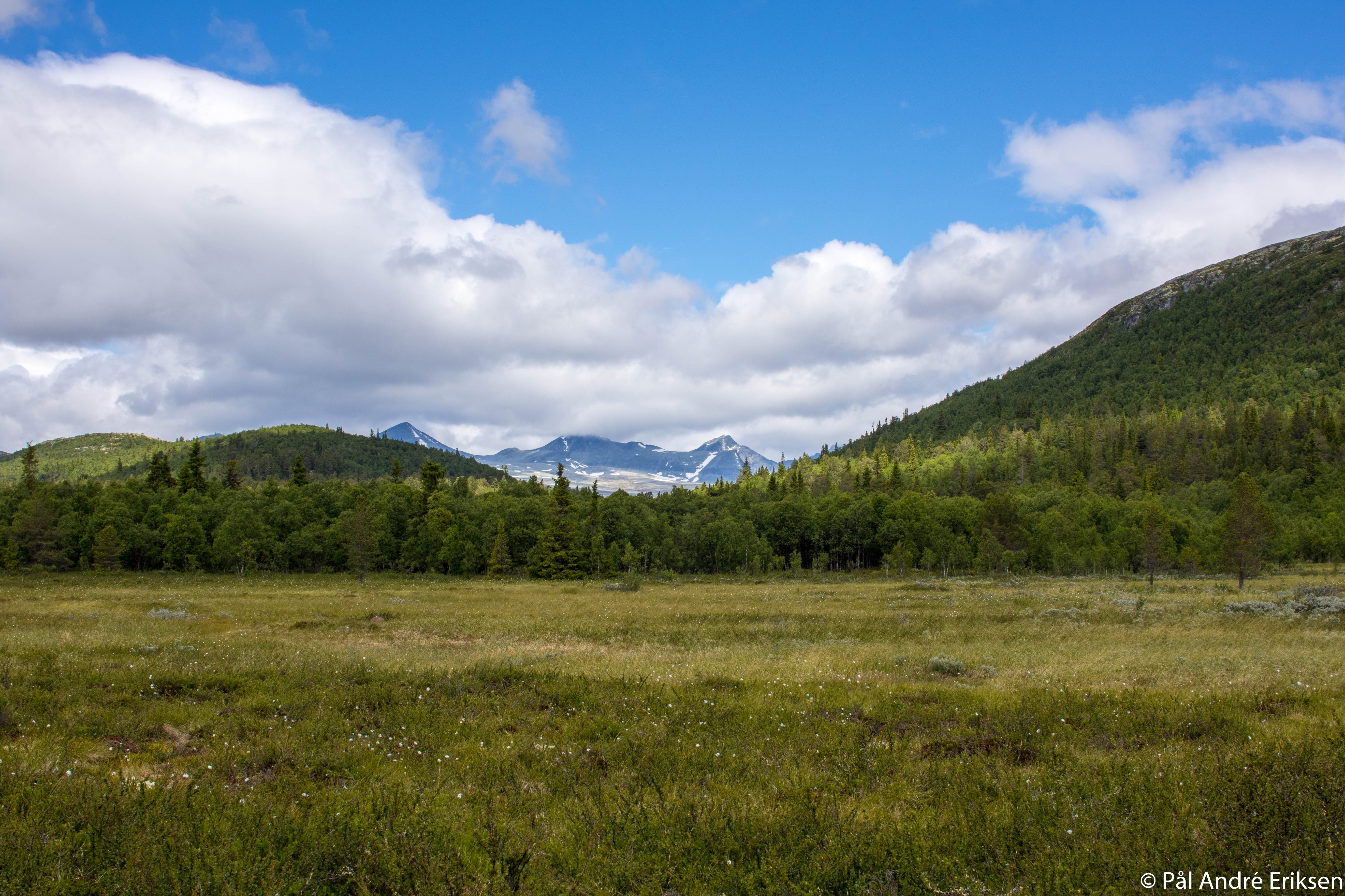 Rondane – summer 2017